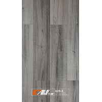 Rigid Platinum 629-2
